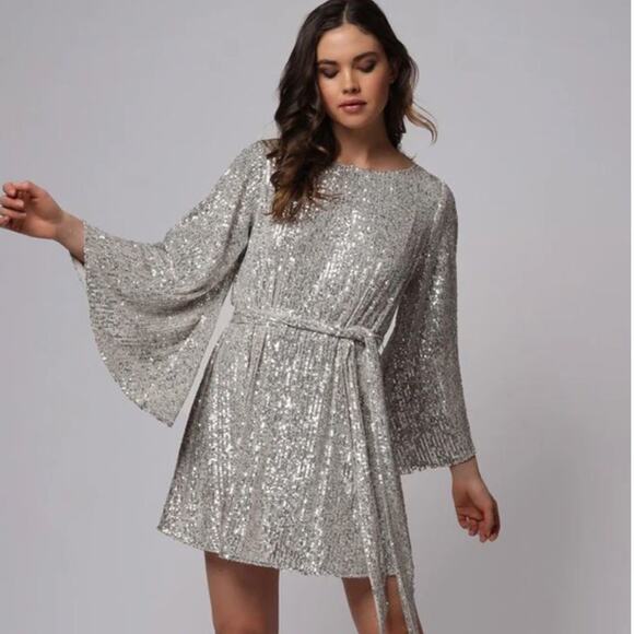 NWT Jay Godfrey “Maggie” Dress. Silver Champagne Color Bell sleeves! MSRP $375 - Picture 1 of 5